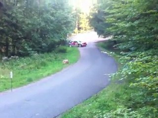 Rallye de france 2011 Chris MEEKE