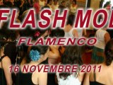 FLASH MOB SOLEA POUR LE CG 13