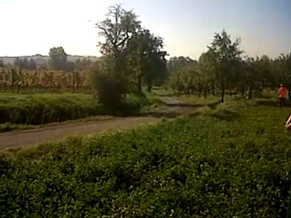 rallye alsace ( part 33 )