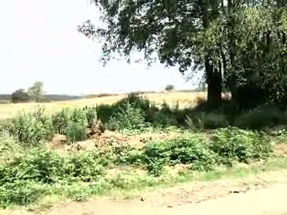 SATILIK TAVUK ÇİFTLİGİ TEL: 0546 851 6657 HAZER EMLAK