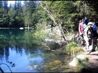 Bivouacs familiale dans les forêts alpines" Partie 6 "