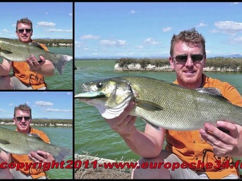 Pêche du loup-bar aux leurres-poissons nageurs en canal par Europêche34