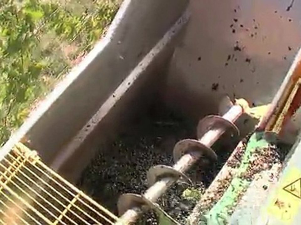 En direct de la vendangeuse