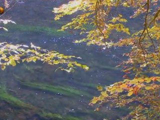 le Doubs