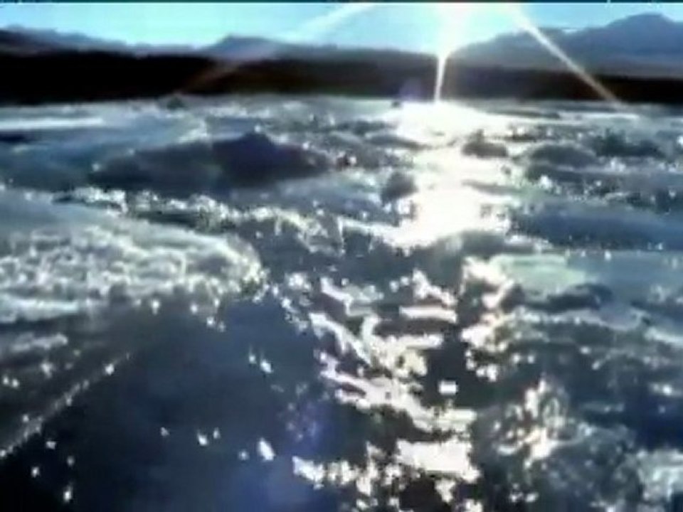 TV3 - Telenotícies - Entrevista a David Vann