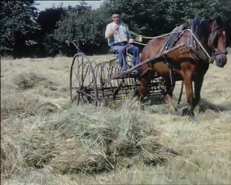 Extrait de Films d'autrefois : Les foins à Pirou (50)