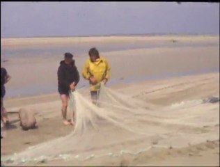 Extrait de "Films d'autrefois" : La pêche à la senne à Créances (50)