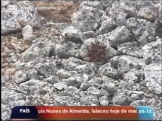 2004  Freixo de Numao