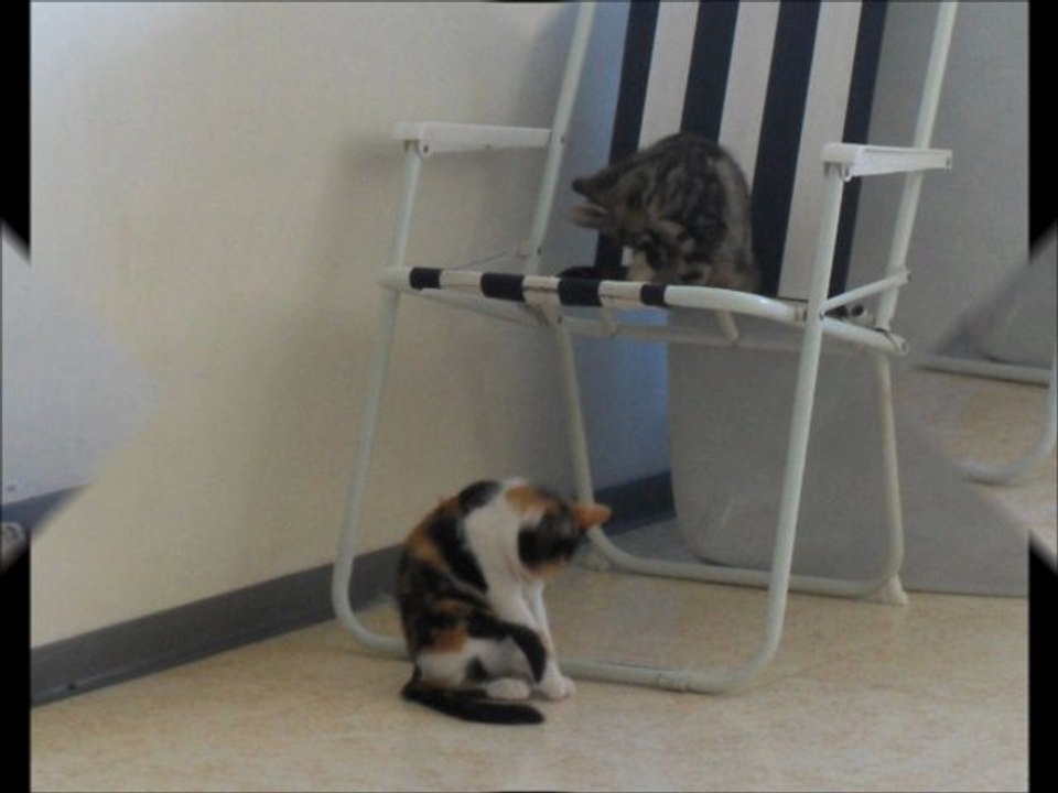 Princesse et Cassandra le 22 09 2011