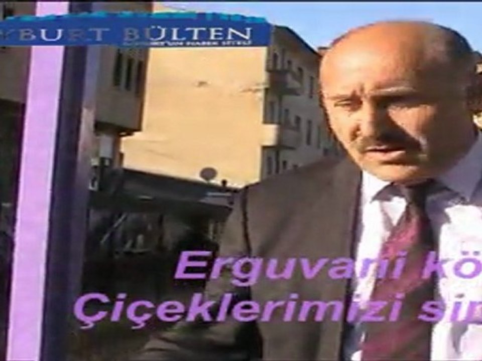 Estetik erguvanı köprü Bayburt