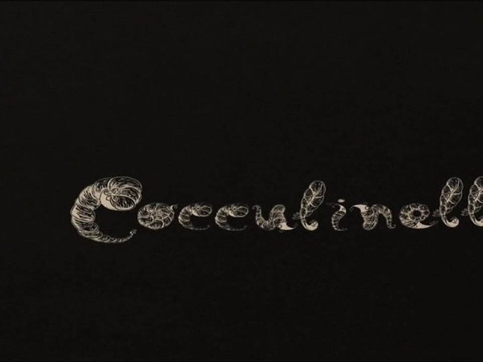 Making of (1) de Cocculinellidae