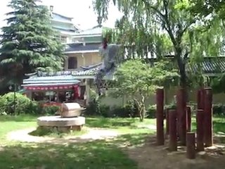 Saut de l'Aigle sur le Pilier au Centre International de Shaolin