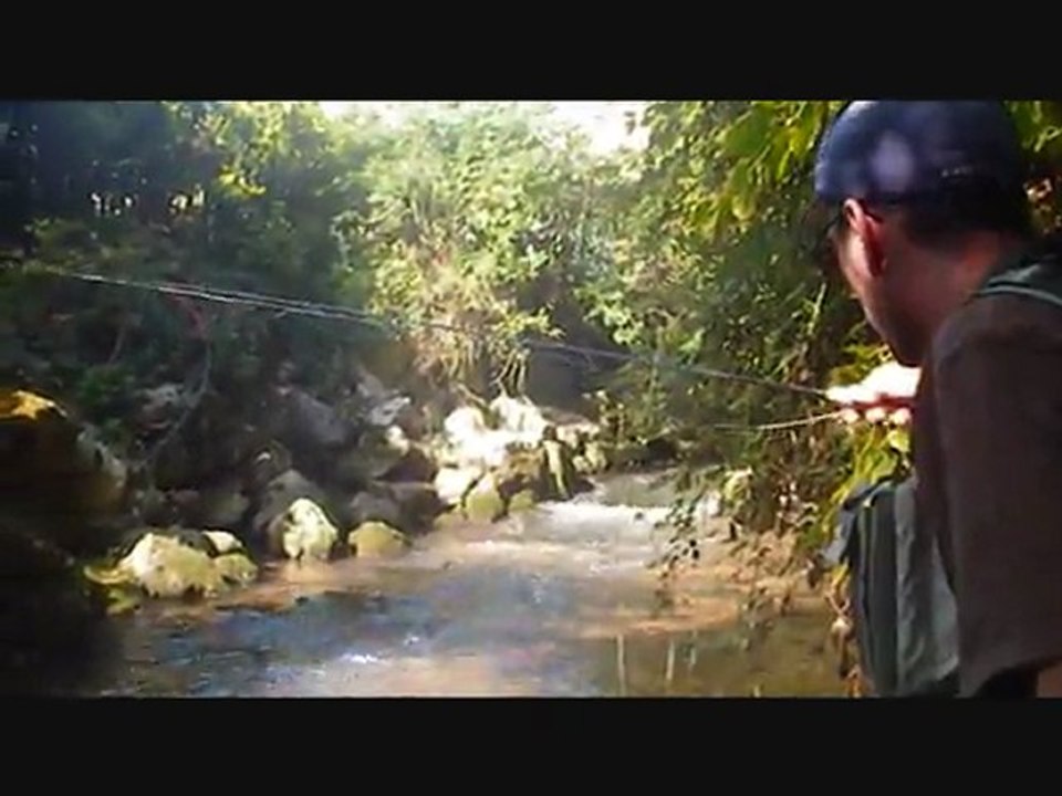 Nymph'eau fil de l'eau