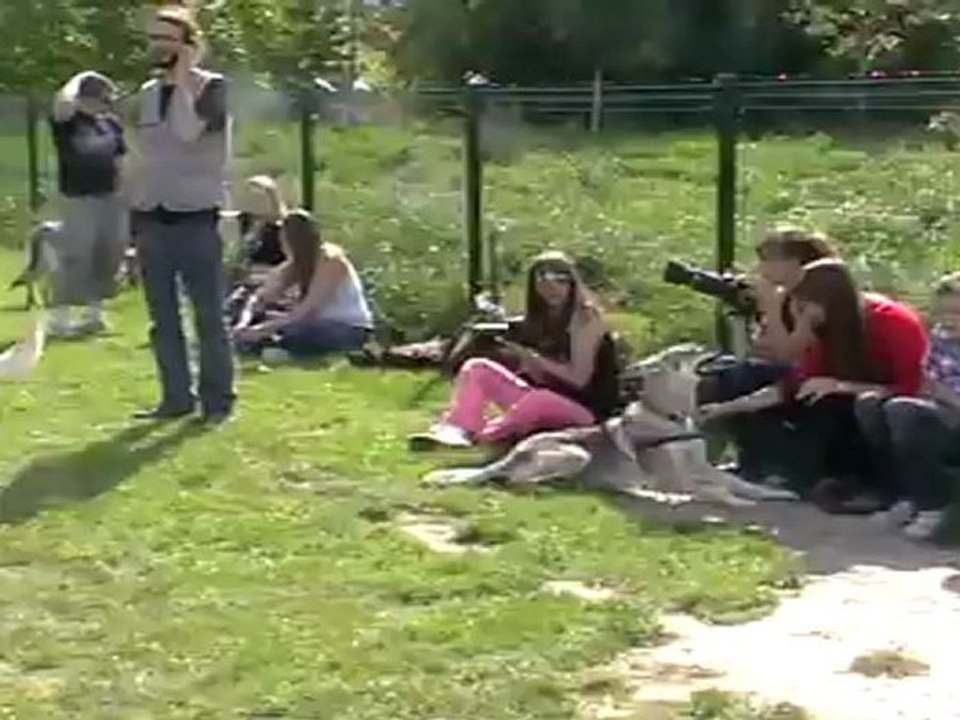 Paparazzi