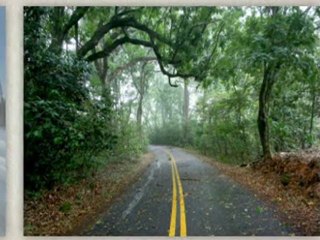 Need an Auto Transport Service? Call Us!