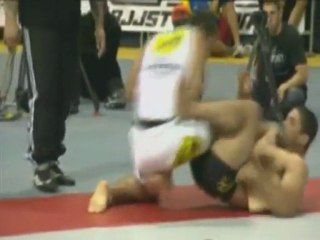 Avellan-Palhares-Anklelock