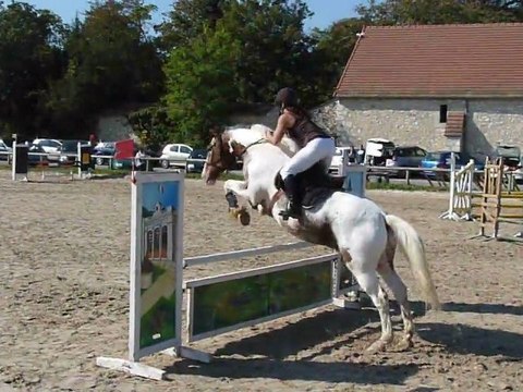 cso licol 2oct 2011 ASPTT