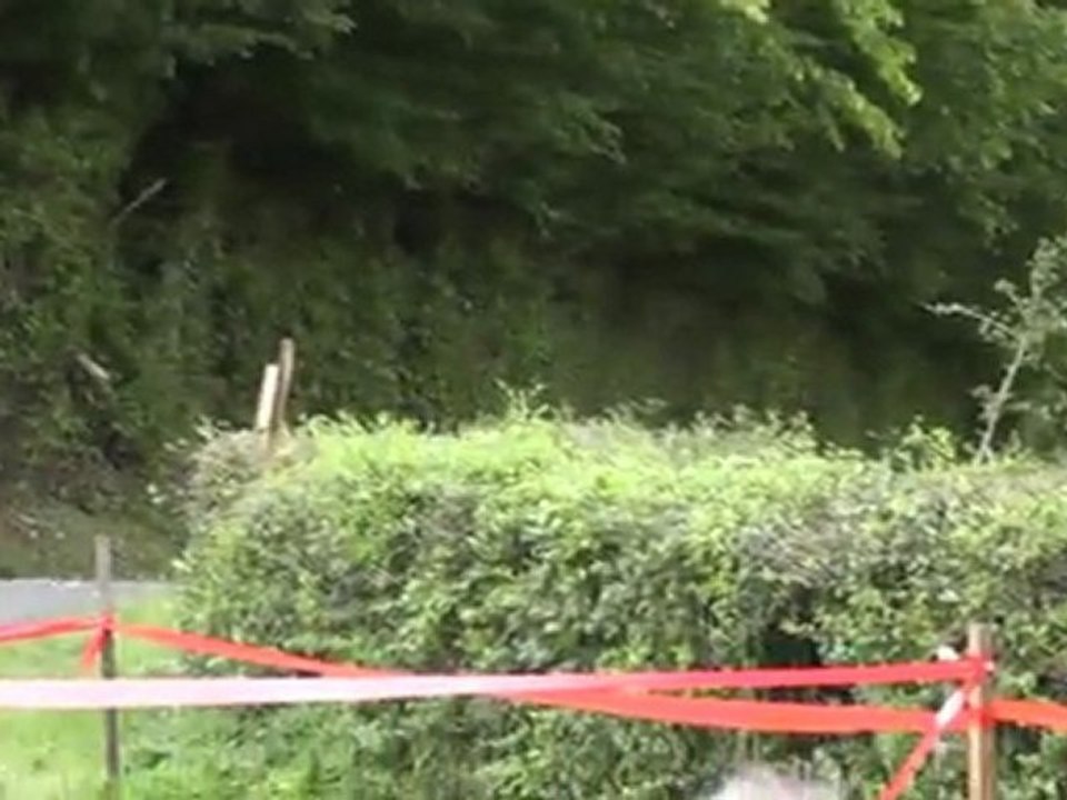 Coeur de France 2011 - CHOLLET/GOUINEAU