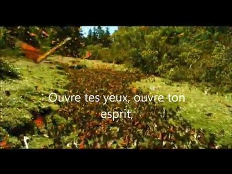 Réflexion (1) : Reprenons nos vie en main... Soyons acteur de nos vies.