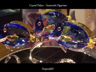 Swarovski Surgeonfish at CRYSTAL PALACE