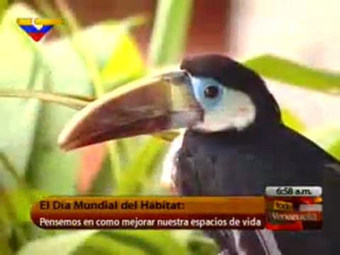 DÍA MUNDIAL DEL HÁBITAT: PENSEMOS EN CÓMO MEJORAR NUESTROS ESPACIOS DE VIDA