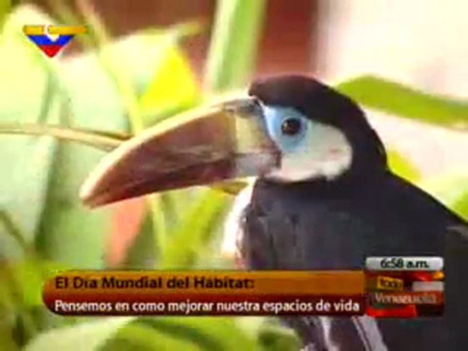 DÍA MUNDIAL DEL HÁBITAT: PENSEMOS EN CÓMO MEJORAR NUESTROS ESPACIOS DE VIDA