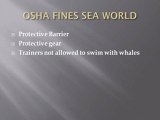 Trainer Death causes OSHA to fine SeaWorld
