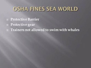 Trainer Death causes OSHA to fine SeaWorld