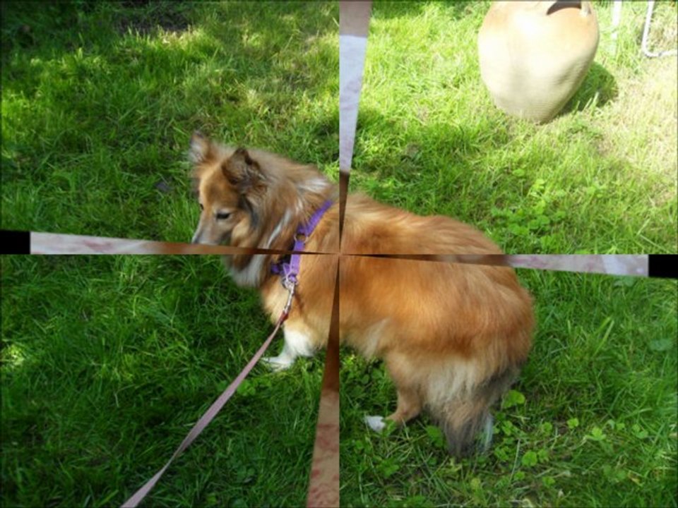 Snooka le 26 septembre 2011