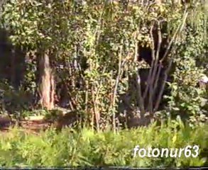 NEJDET  TOKGÖZ Oy Havar