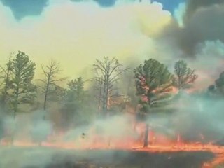 Propagation d'un incendie au Texas