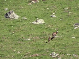 Les Izards