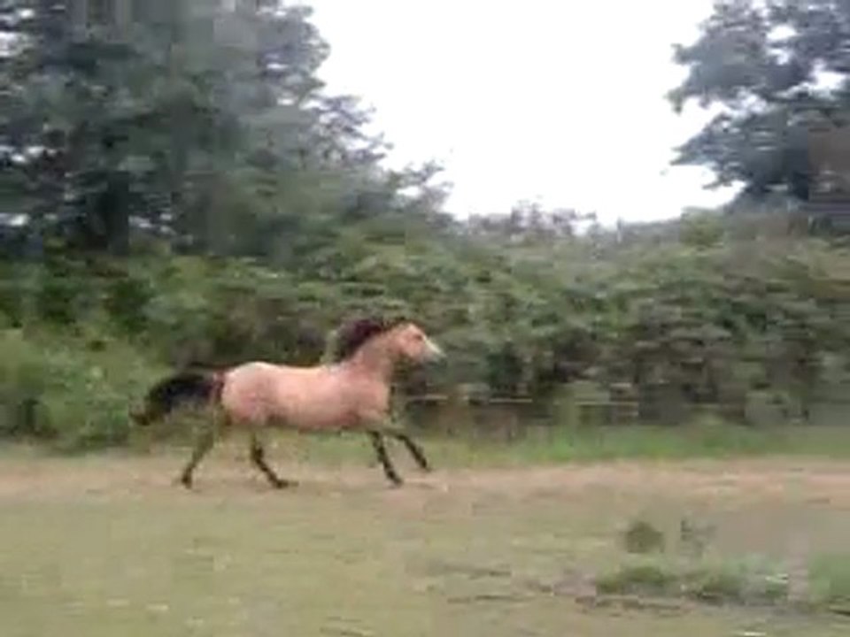 ody à fond