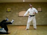 Karate Kata Bunkai for Nijushiho (Part 2)