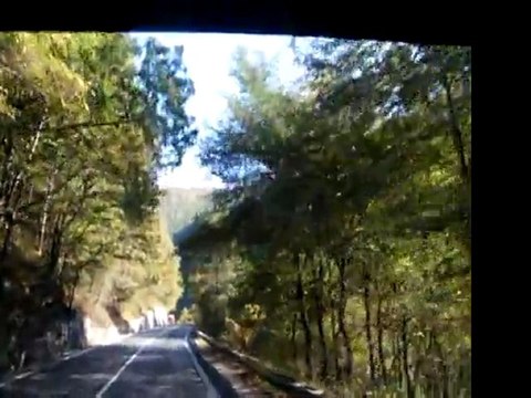 Pe Valea Oltului din goana masinii