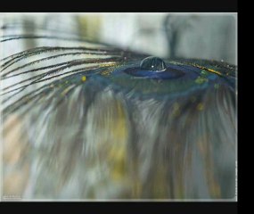 Chôro Chorado Pra Paulinho Nogueria (Toquinho)