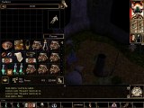 Neverwinter nights 92 Le bois frileux