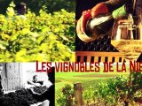 Destinations Nièvre en Bourgogne - épisode 5 - Les vignobles de la Nièvre