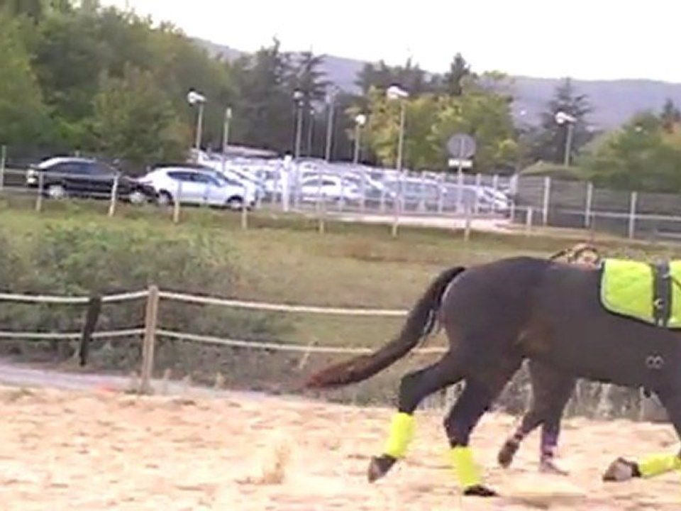 MOV042