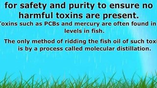 Omega 3 Fish Oil - How Fish Oil Provides Optimal Overall Hea
