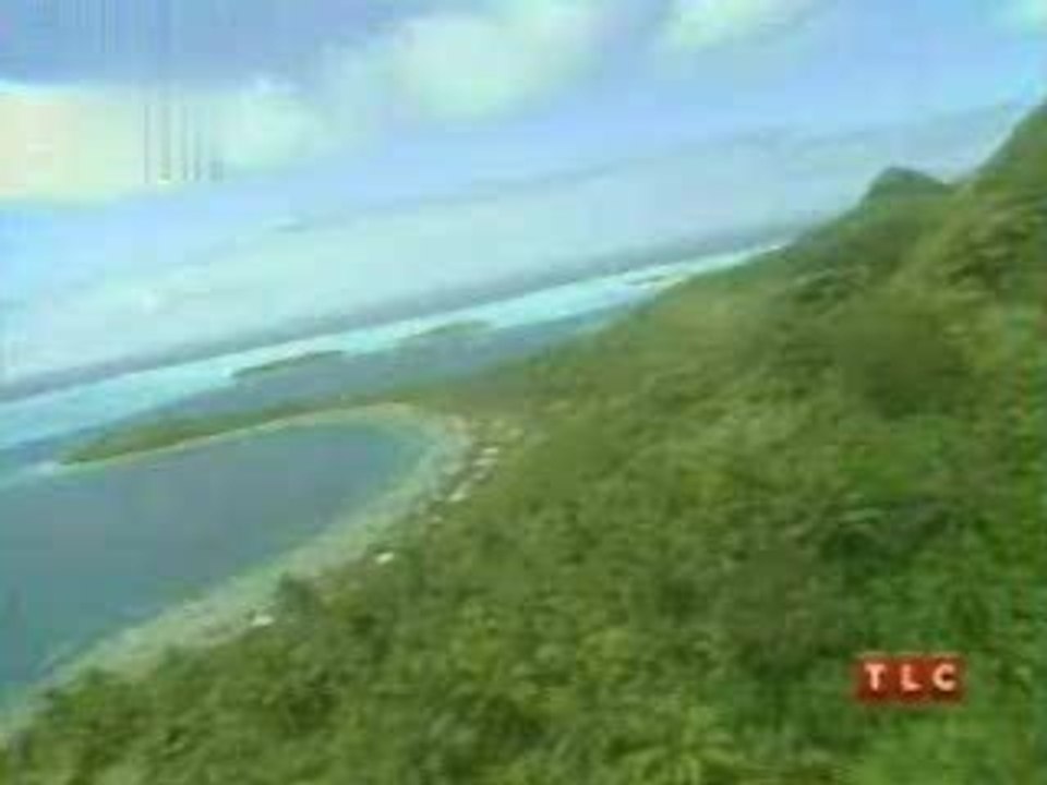 Horreur Tropicale