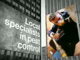 Sussex Pest Control Services - Brighton & Worthing 01273 514802