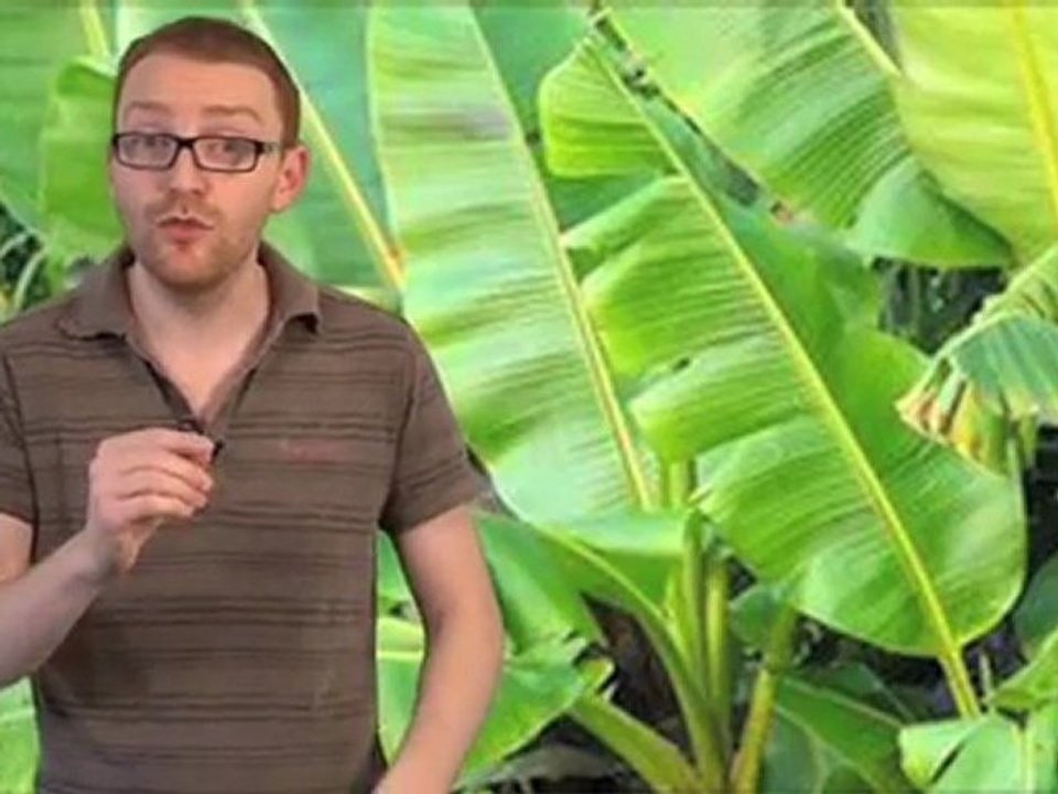 Il s'est enfermé 48 heures avec des plantes