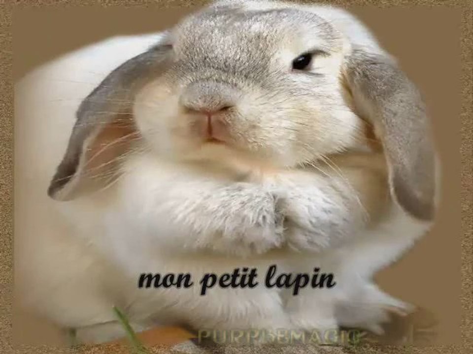Ça ira mieux  demain...