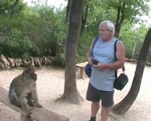 dans la vallée des singes à Rocamamdour