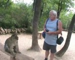 dans la vallée des singes à Rocamamdour