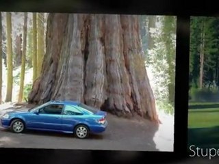 ACADEMIE de MUSIQUE PICTURES - Night Forest 1 - The Jean-Luc Pouchet Collection (2011)