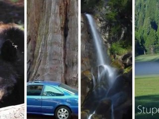 ACADEMIE de MUSIQUE PICTURES - Moon Lake 1 - The Jean-Luc Pouchet Collection (2011)