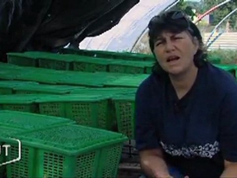 Gabrielle Moreau, hélicicultrice (Beaulieu-sous-la-Roche)