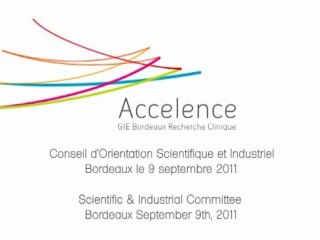 1er Conseil d'Orientation Scientifique et Industriel 1st Scientific & Industrial Committee ACCELENCE